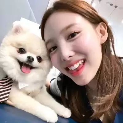 逢今瑶